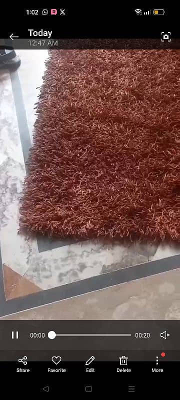 Beautiful ,strong and stylish Rug 5