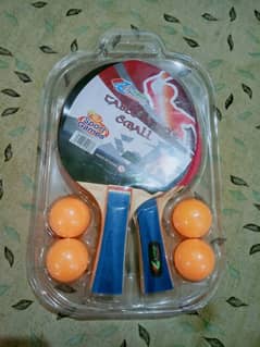 Table Tennis (2 players) set