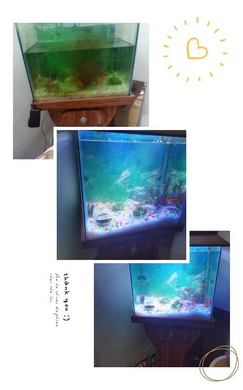 Aquarium Maintenance & Service 1