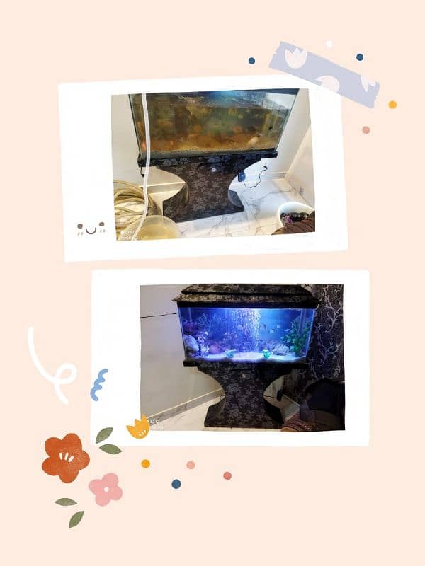 Aquarium Maintenance & Service 7