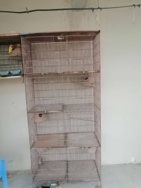 birds cage available for sale 1