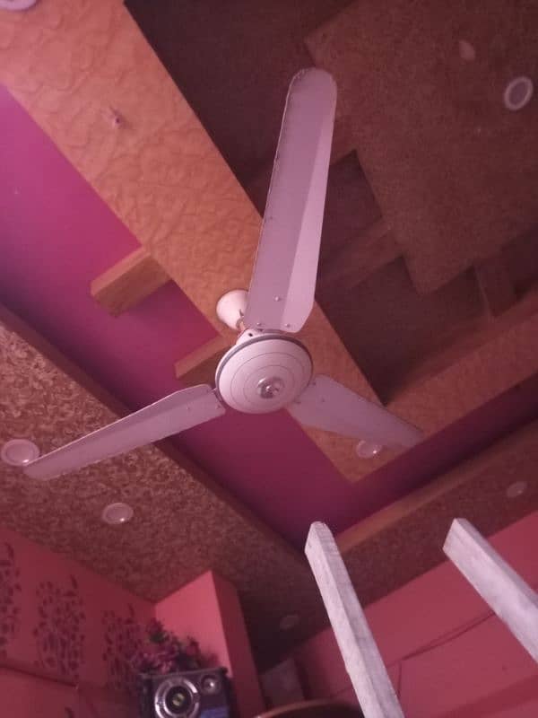 Ceiling Fan 1