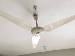 Millat Regular 220V /copper fan