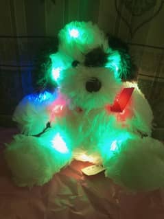 7 multi Led different lights teddy bear