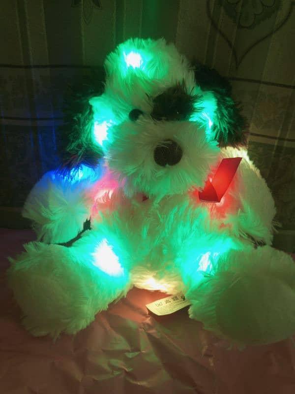 7 multi Led different lights teddy bear 0