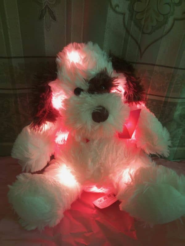 7 multi Led different lights teddy bear 2