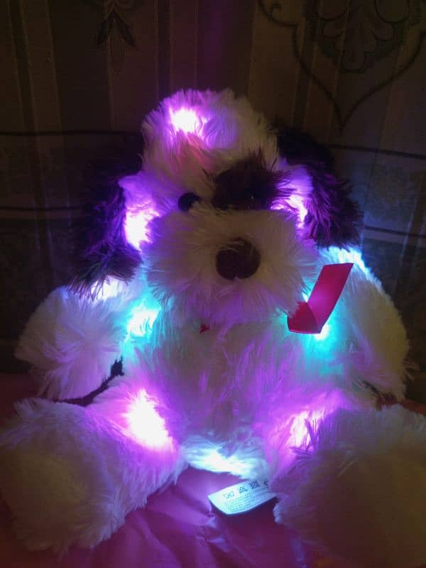 7 multi Led different lights teddy bear 4