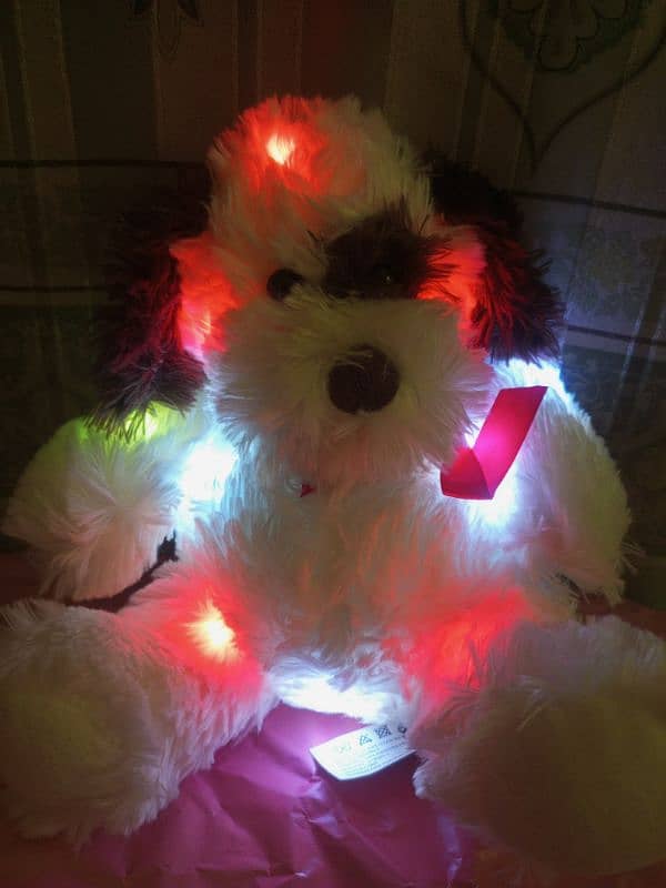 7 multi Led different lights teddy bear 5