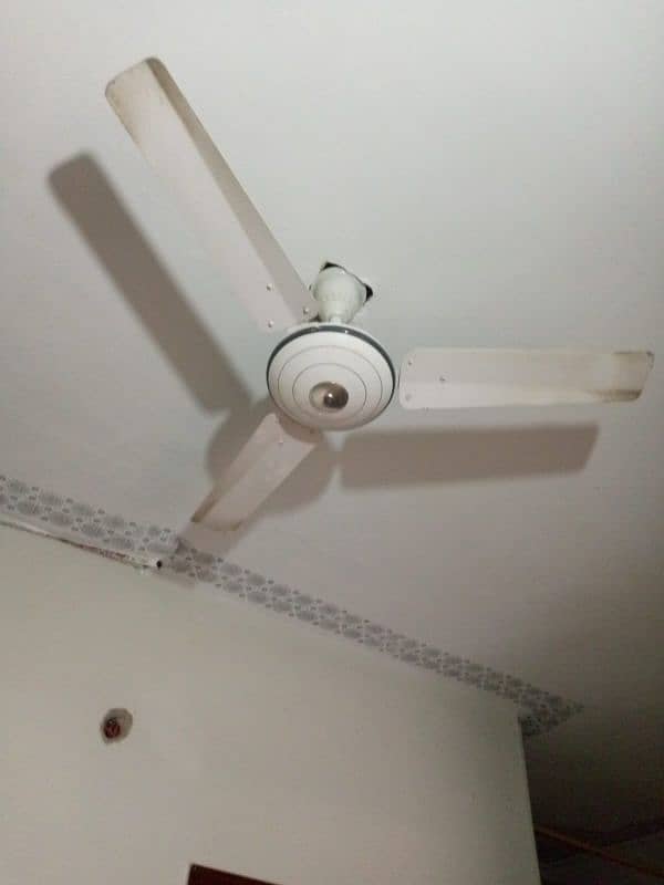 Fans  new condition 1