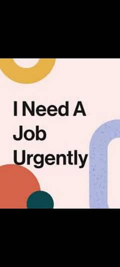 job wanted