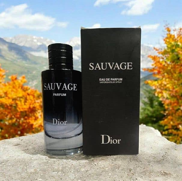 Sauvage Long Lasting Perfume 2