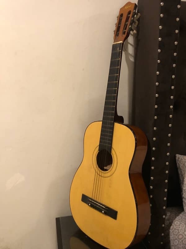 Original Kapok guitar Model C-8 1