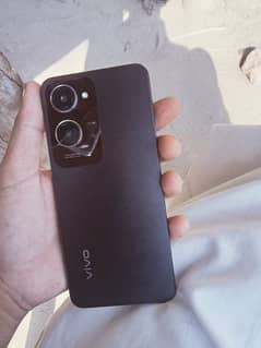 vivo