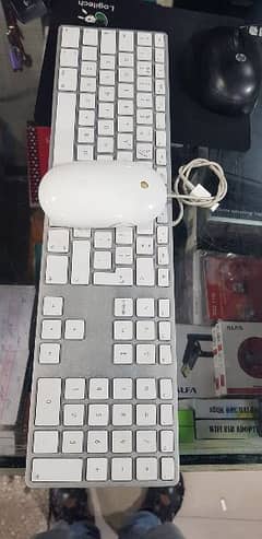 Apple wired keyboard Mouse