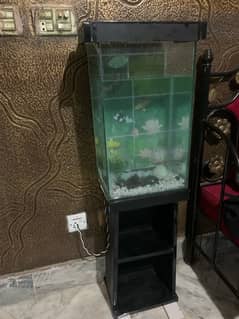 Fish Aquarium for sale