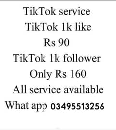 tiktok like follower chayea to whatsapp par rabta kry 03495513256