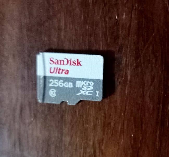 San Disk 256GB Memory Card 0