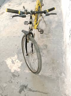 bicycle