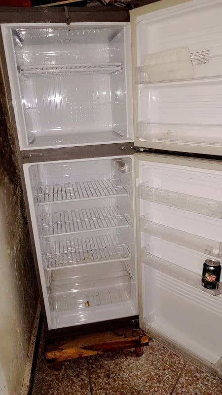 Pel Refrigerator 5