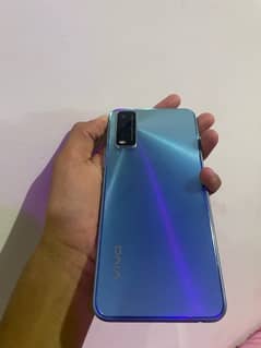 vivo