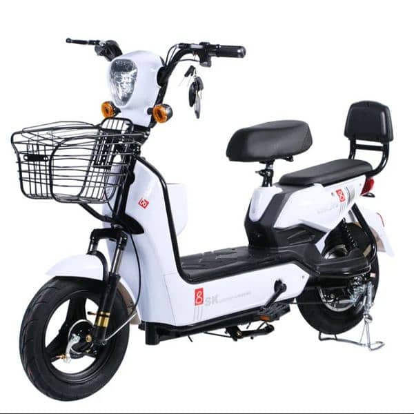 Electric Bike 1