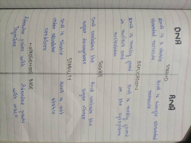 Hand written assignments jobs 12