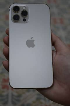 i phone 12 pro max