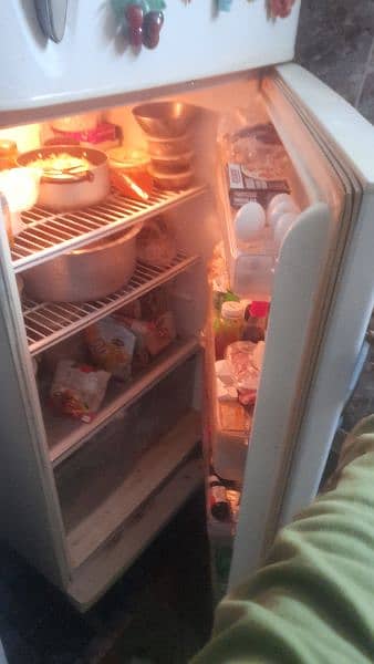 lg fridge urgent sale 9