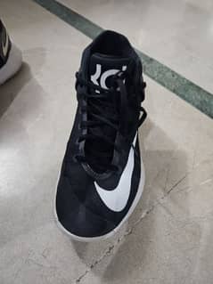 Nike Kobe EUR 43