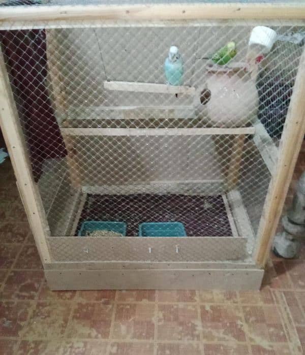 bird cage and 2 australian bird for seal 1