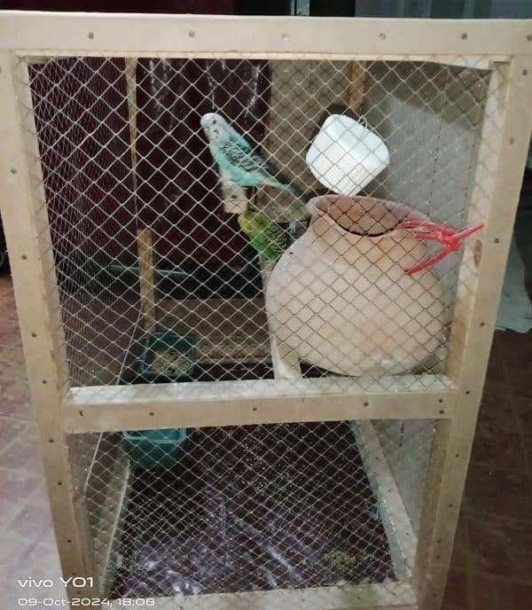 bird cage and 2 australian bird for seal 2