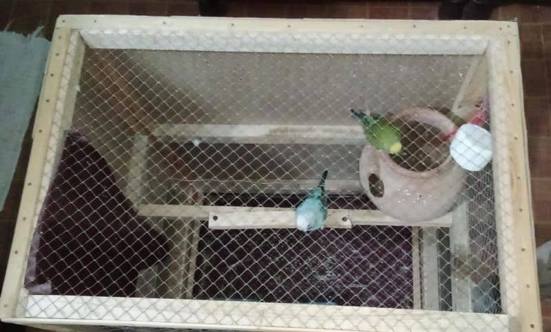 bird cage and 2 australian bird for seal 4