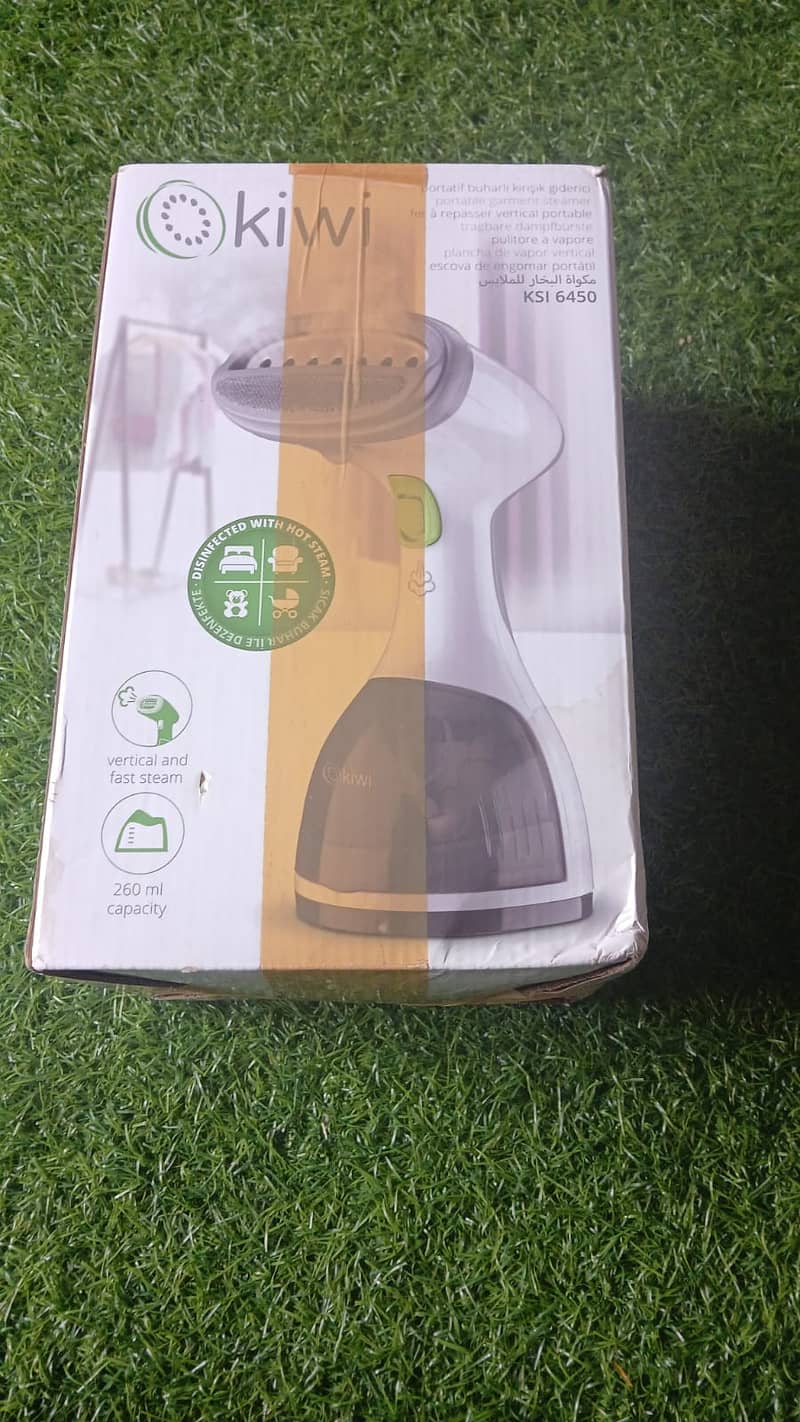 Steam hand iron 1