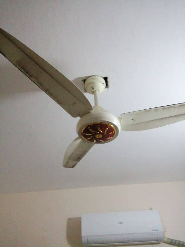 Sufi Ceiling Fan pure Copper available(2 Year warranty) 4