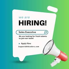 Sales Executive