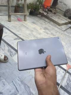 ipad mini 5 64gb gray colour