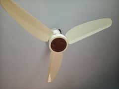 ceiling fan