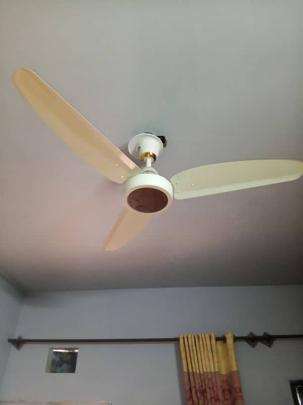 ceiling fan 1