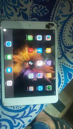 iPad mini