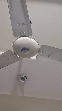 Ceiling fans for sale. . . 3 fans Available