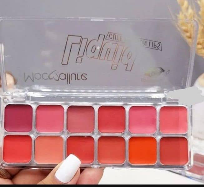 12 in 1 Lipstick and Blush Palette 0