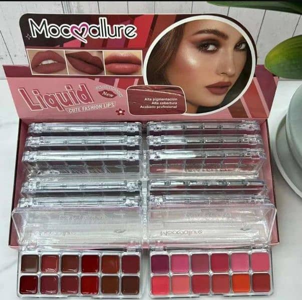 12 in 1 Lipstick and Blush Palette 1