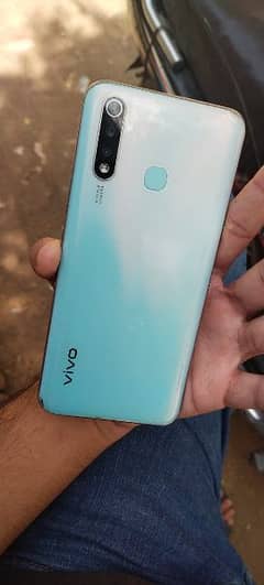 vivo