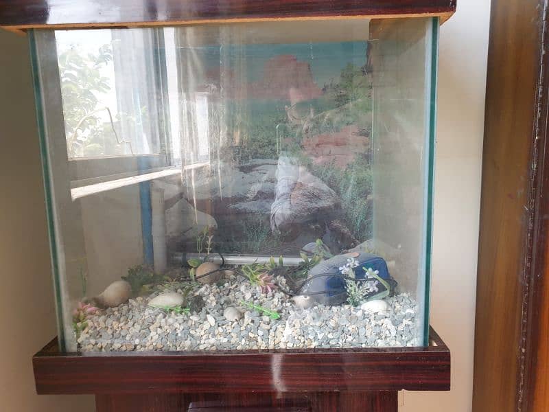 Fish tank/ aquarium 2