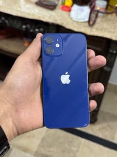 iPhone 12 Mini