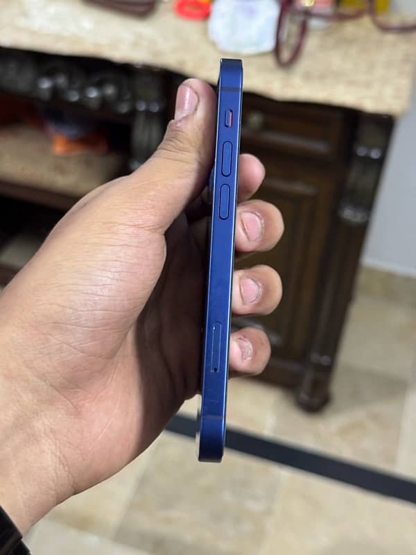 iPhone 12 Mini 1