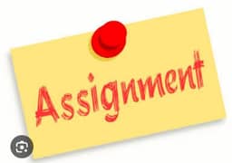 assignment PDF files 3 days project