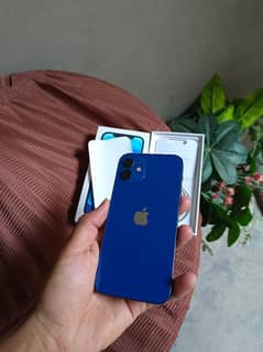 iPhone 12 dual SIM pta approved 128gb 0