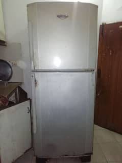 Hair 340m refrigerator with freezer