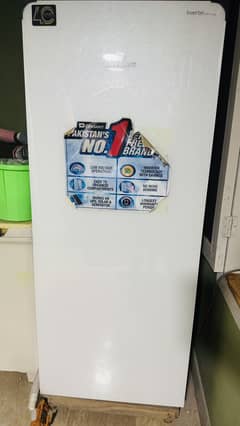 Vertical freezer 0